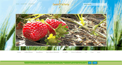 Desktop Screenshot of casalecalifornia.com