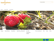 Tablet Screenshot of casalecalifornia.com